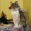 Отзыв от Катя Старикова